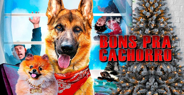 Super cachorros al ataque