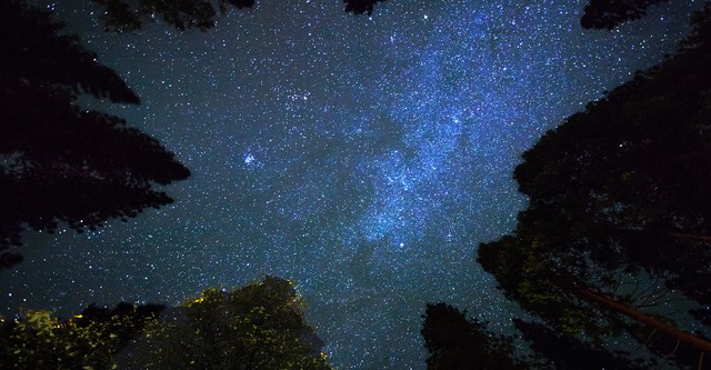 Cosmic Vistas