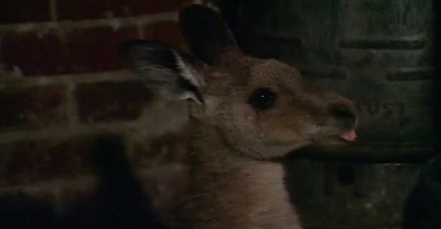 Skippy and the Intruders