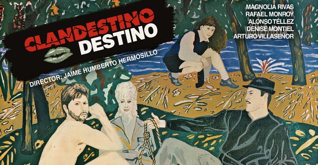 Clandestino destino