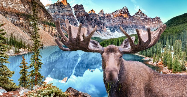 Canada's National Parks