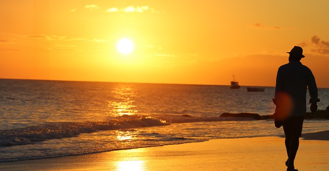 Ainsley Eats the Streets