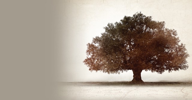 Finding Your Roots