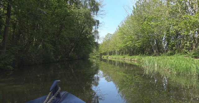 Cruising the Cut web-series
