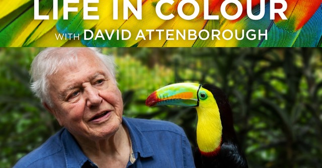 La Vie en couleurs avec David Attenborough