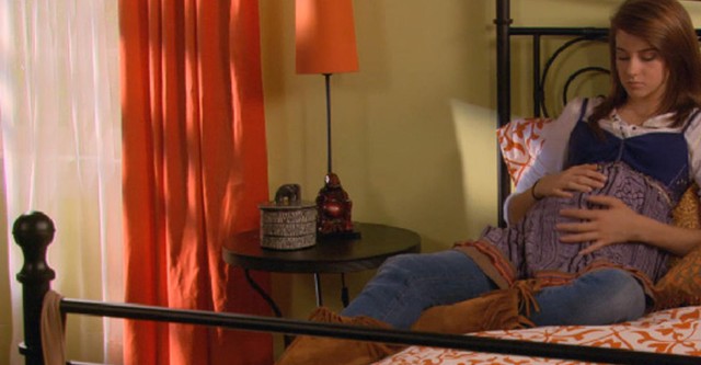 The Secret Life of the American Teenager
