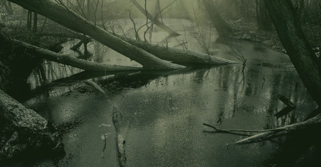 Swamp Wars