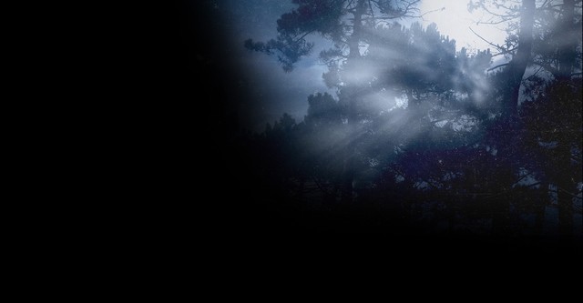 Are You Afraid of the Dark?