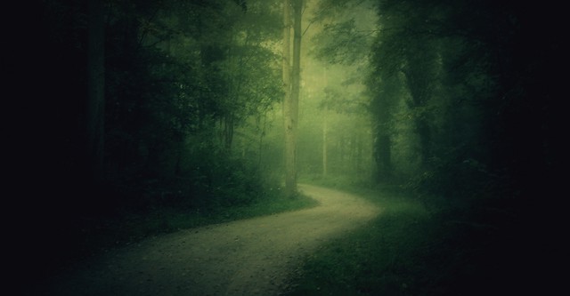 Are You Afraid of the Dark?