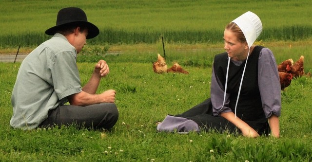 Breaking Amish