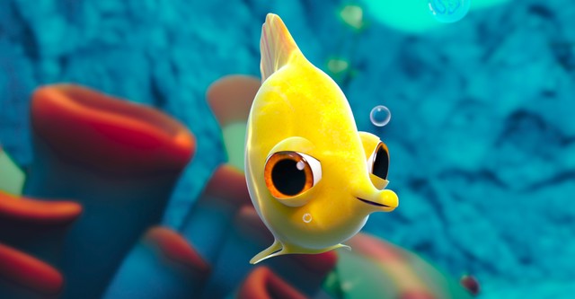 Under the Sea
