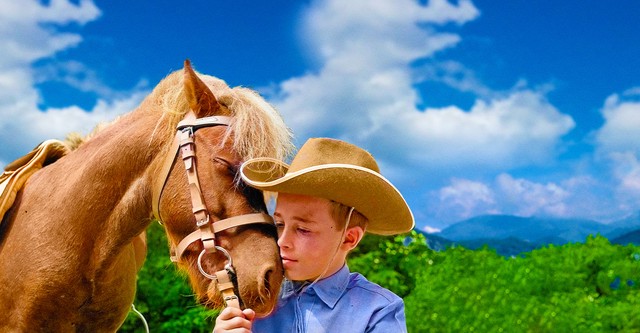 Poly ou le mystère du château