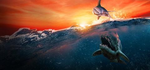 How to Watch Shark Week 2024 on Discovery and Max