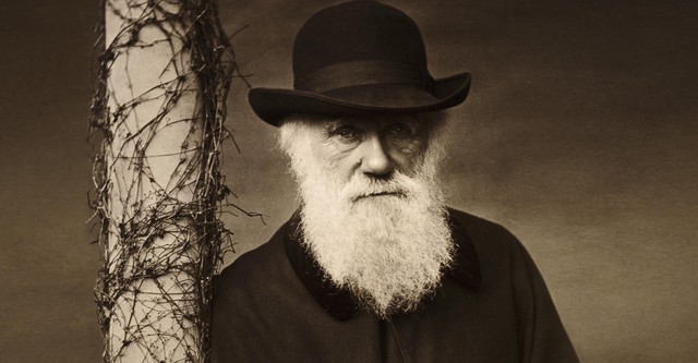 Darwin in der Kritik: Glauben in Amerika