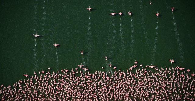 Earthflight