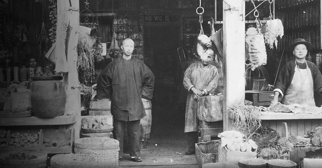 Plague at the Golden Gate