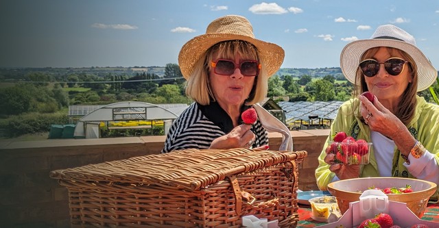 Celebrity Antiques Road Trip