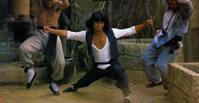 The Secret Shaolin Kung-Fu