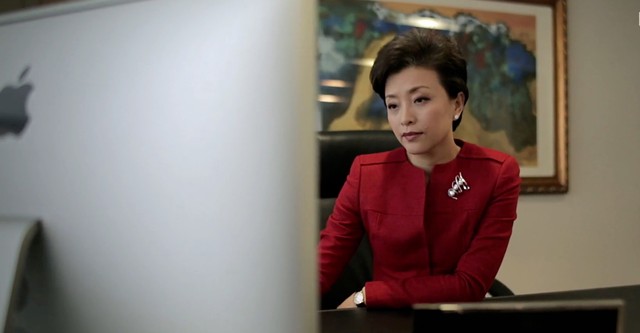 The Other Half of the Sky - Stories of Chinese Businesswomen