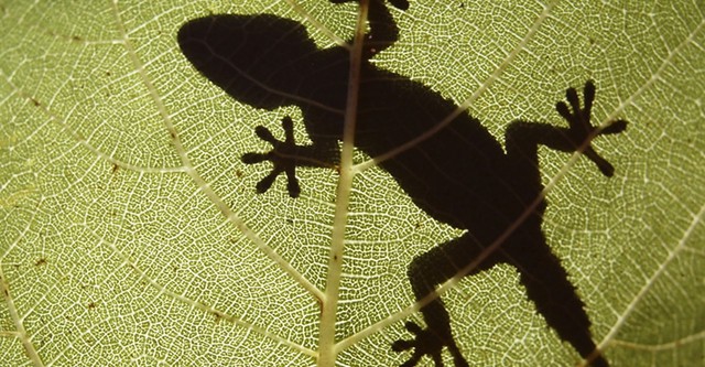 The Secret World of Nature: Spain
