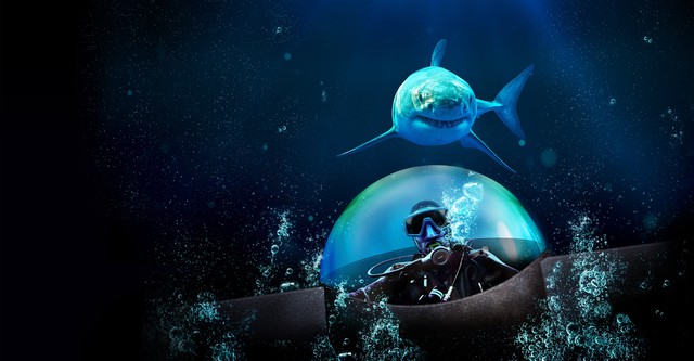Mission Shark Dome