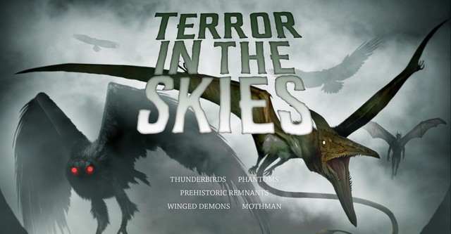 Terror in the Skies