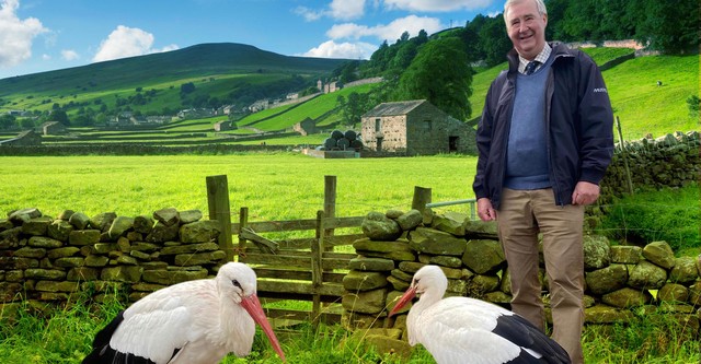 The Yorkshire Vet