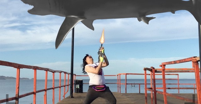 Narco Shark