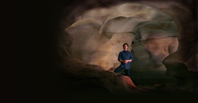 The Brain with David Eagleman
