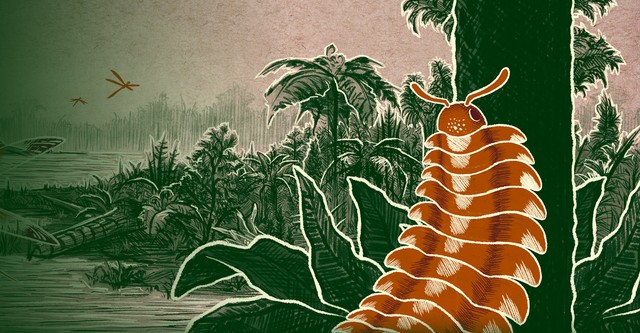 Prehistoric Road Trip