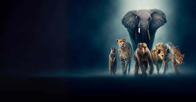 Dynasties