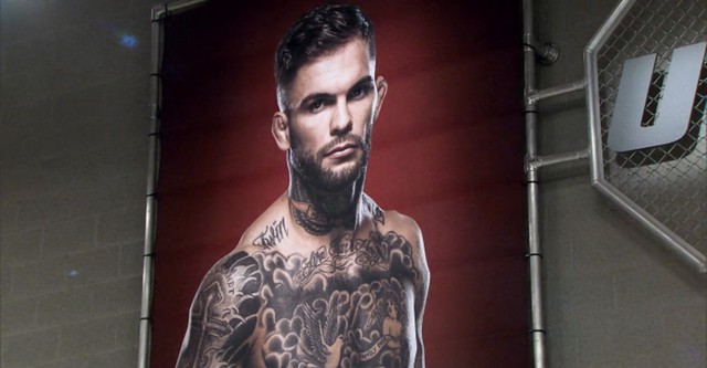 The Ultimate Fighter: Brazil 3
