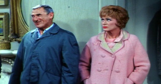 The Mothers-in-Law