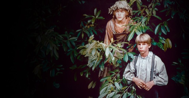 Huckleberry Finn and His Friends