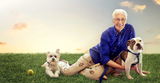 For the Love of Dogs