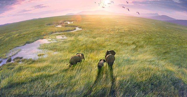 Planet Earth III