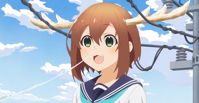 Shikanoko Nokonoko Koshitantan