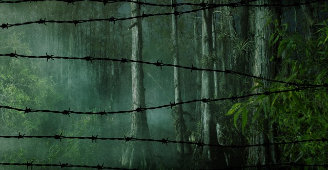 Louisiana Lockdown