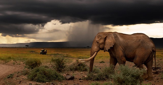 Chasing the Rains