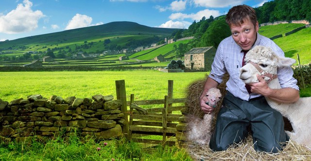 The Yorkshire Vet