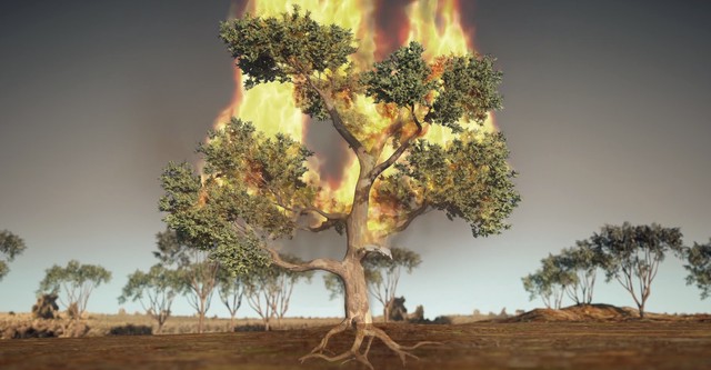 Fuerzas de la naturaleza