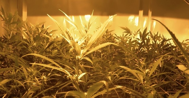 Una Historia de la Prohibición