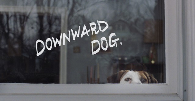 Downward Dog