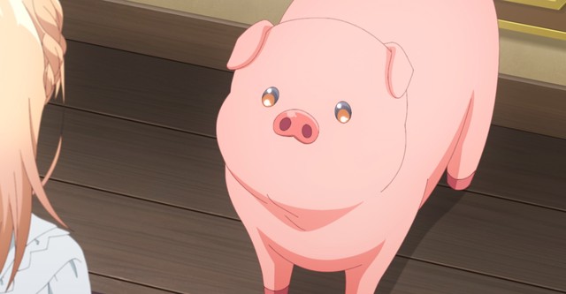 Butareba -The Story of a Man Turned into a Pig-