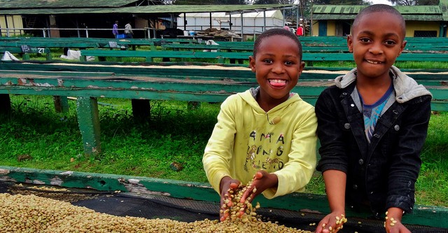 Die Abenteuer von Neema und Joshua