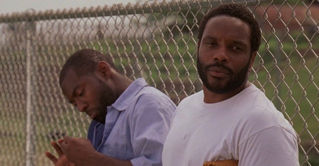 THE WIRE/ザ・ワイヤー
