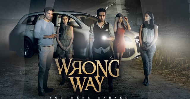 Wrong Way