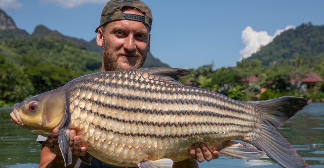 Monster Carp
