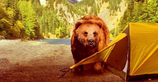 When Vacations Attack