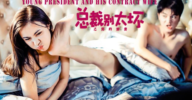 Young President and His Contract Wife